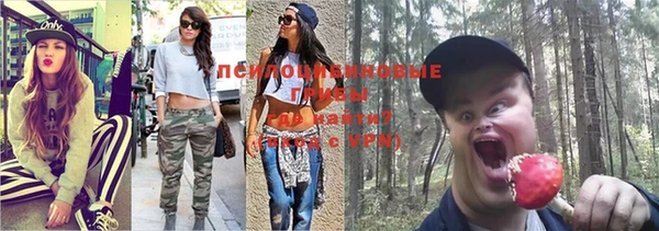 соль курить ск Заволжье