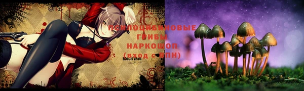 соль курить ск Заволжье