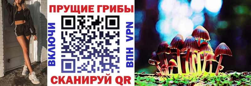 Псилоцибиновые грибы Cubensis  Купить где  Эртиль 